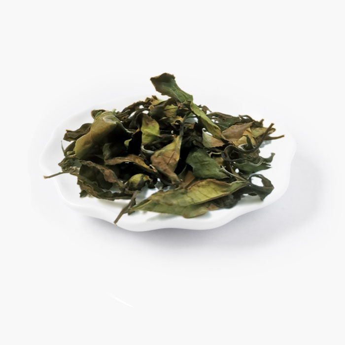 N°315 LUMIÈRE LACTÉE - 2025