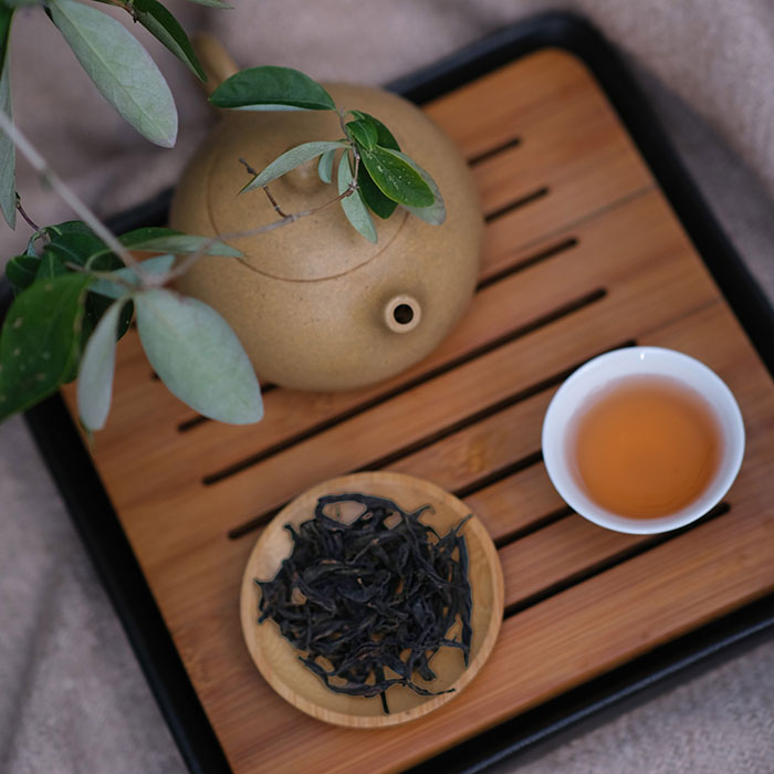 N°420 FLORAISON DES ROCHERS - 2025 – Image 3